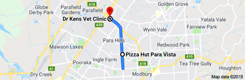 Dr Kens Vet Clinic Para Hills West